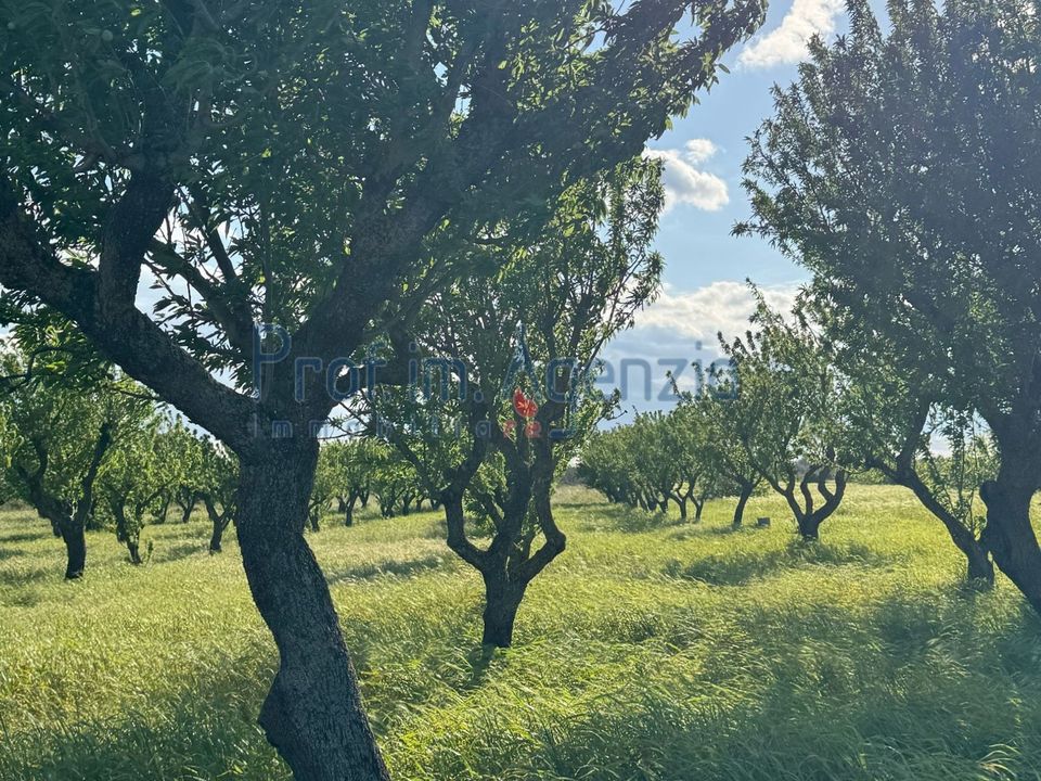 Terreno en Carovigno, Brindisi - foto 4